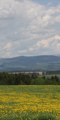 2012 Svojek mirek sobota